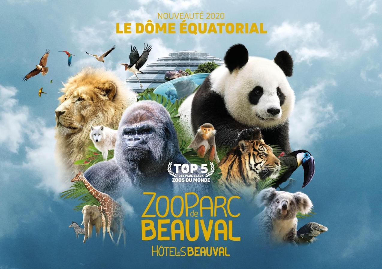 Le Chant Des Oiseaux, 3Km Du Zoo De Beauval, Parking Gratuit ,Wifi Et Netflix Gratuits Saint-Aignan  Exterior foto